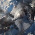 star trek into darkness